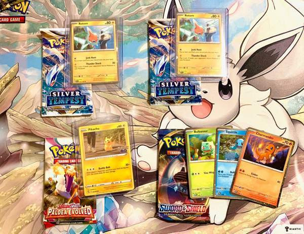 Pokemon TCG Mysteeripussit 52kpl (Suicune/Walking Wake) (40 jäljellä) Jyvaeskylae – foto 8