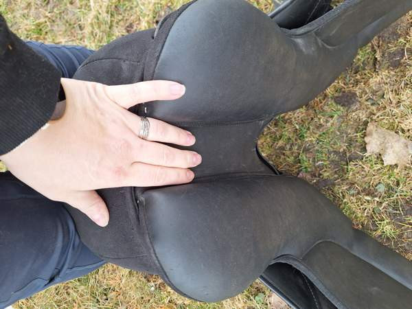 Thorowgood koulusatula Lapua - photo 5