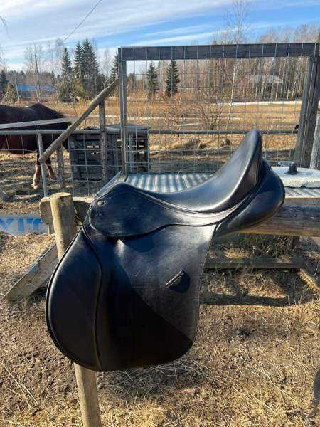 Bates Caprilli 18 Akaa - valokuva 1