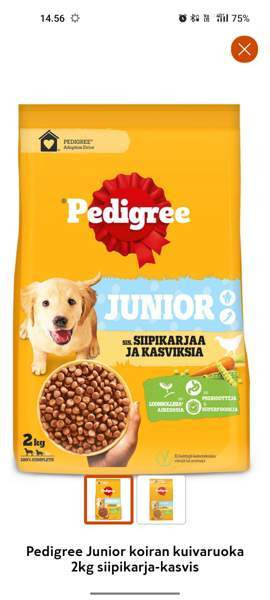 Junior koirannappula Туусула - изображение 1