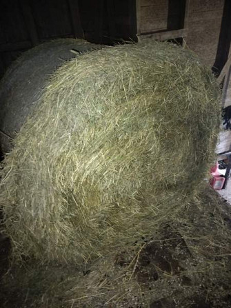 Kuivaheinä Ähtäri – foto 1