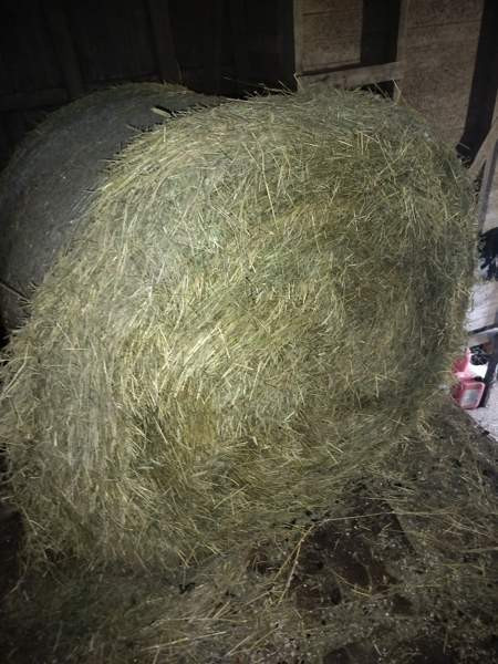 Kuivaheinä Ähtäri - valokuva 1