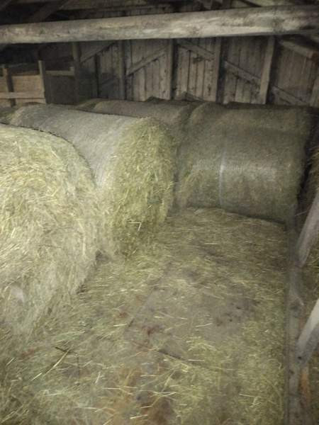 Kuivaheinä Ähtäri - valokuva 2