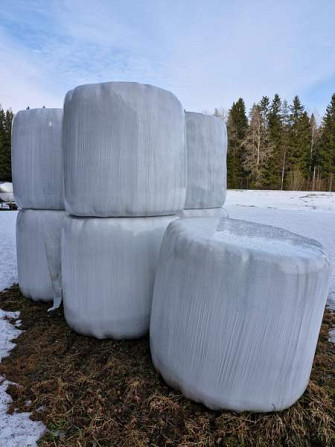 Odelmaa 2024 Pieksämäki - изображение 1