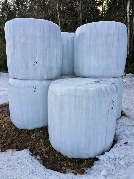 Odelmaa 2024 Pieksämäki - valokuva 2