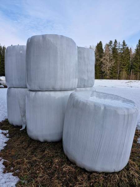 Odelmaa 2024 Pieksämäki - valokuva 1