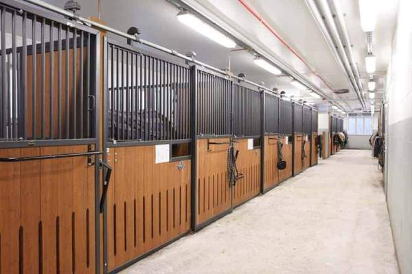 Vuokralle annetaan: Tallipaikka Tuomarinkartanon Kilpatallissa Helsinki - valokuva 2