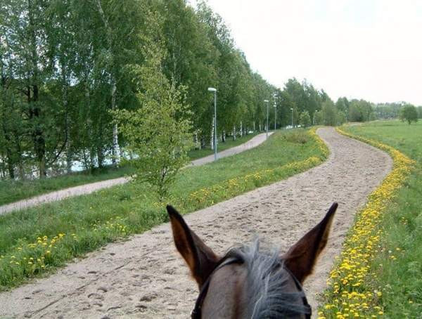 Vuokralle annetaan: Tallipaikka Tuomarinkartanon Kilpatallissa Helsinki - valokuva 1