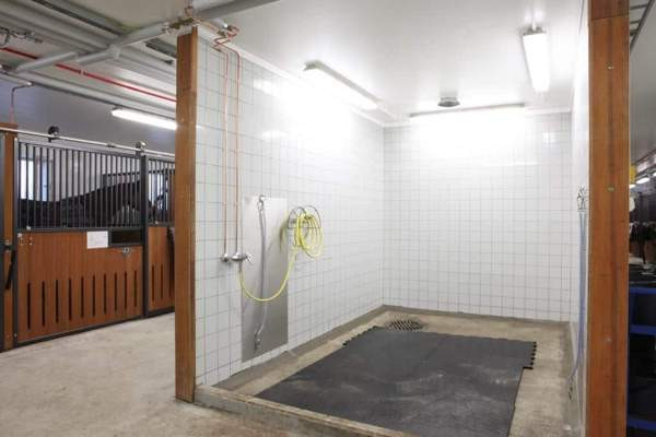 Vuokralle annetaan: Tallipaikka Tuomarinkartanon Kilpatallissa Helsinki - valokuva 3