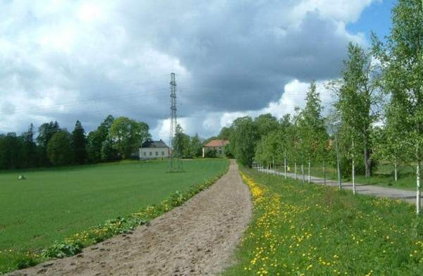 Vuokralle annetaan: Tallipaikka Tuomarinkartanon Kilpatallissa Helsinki - valokuva 4