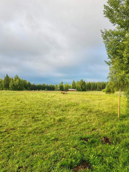 Laidunpaikka ruunalle Lapua - valokuva 2