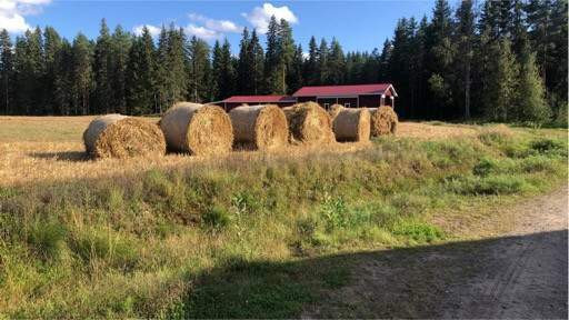 Olkea pyöröpaaleissa Seinaejoki - photo 1