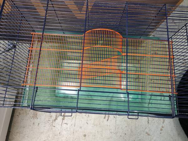 jyrsijöille häkki Kempele - photo 4