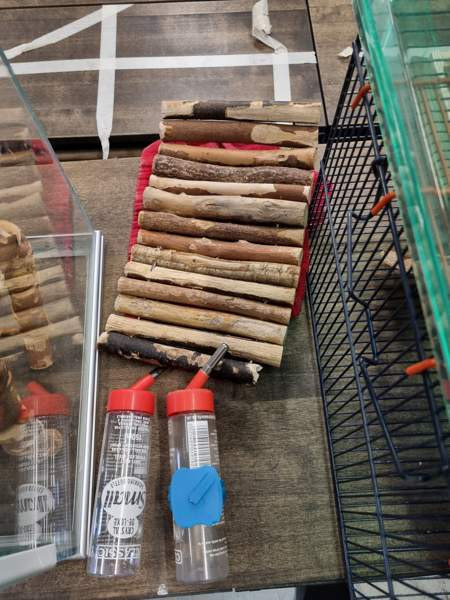 jyrsijöille häkki Kempele - photo 2