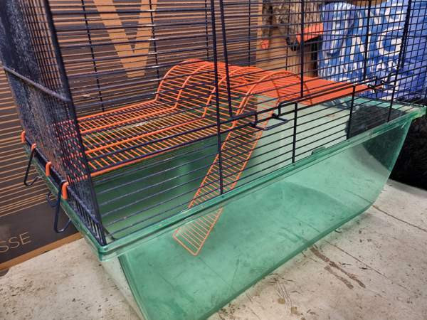 jyrsijöille häkki Kempele - photo 1