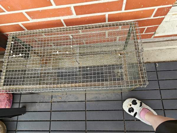 Terraario Kerava – foto 3