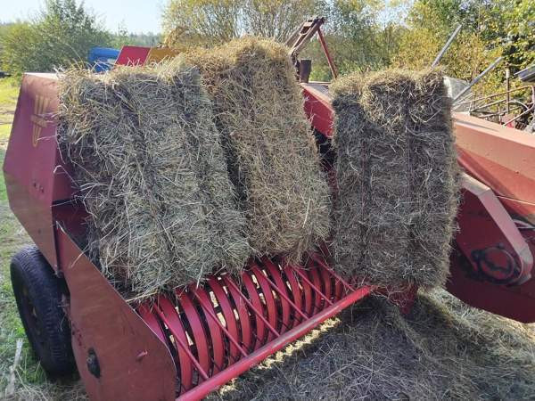 Kaninheinä säästöpakkaus 10kg kotiintoimituksella Kalajoki - изображение 1
