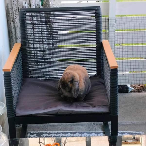 Ihana pupupariskunta Kuopio - valokuva 6