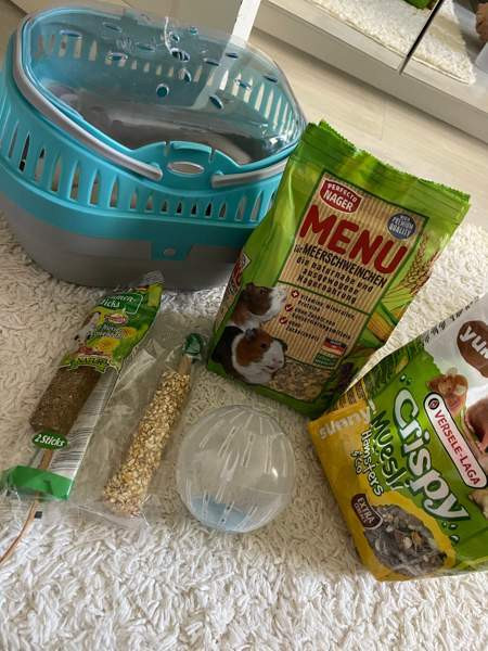 Hamsterin tarvikkeet Siuntio - photo 1