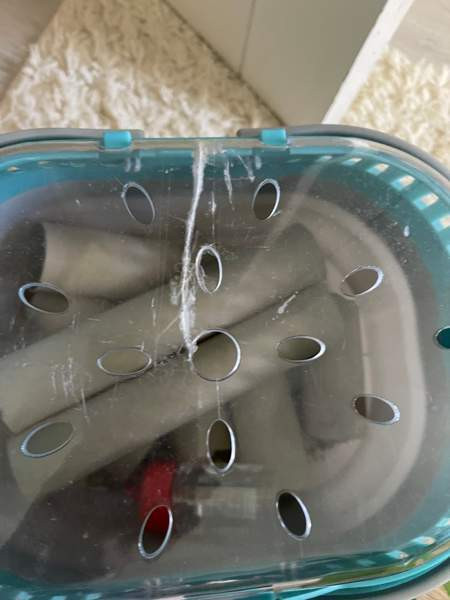 Hamsterin tarvikkeet Siuntio - photo 2