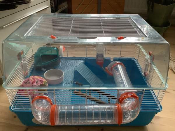 Hamsterin häkki ja kuljetushäkki Mikkeli – foto 1