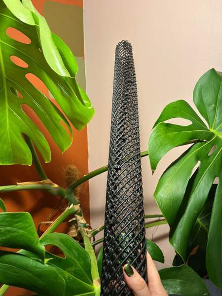 Jyrsijäsuojus 3kpl Helsinki - photo 4