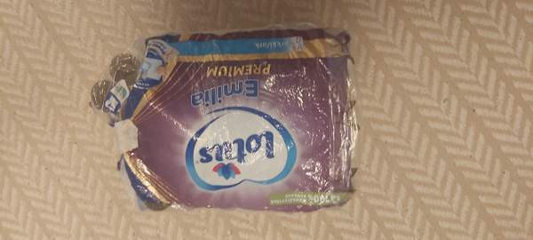 Marsut/hamsterit Oulu - photo 3