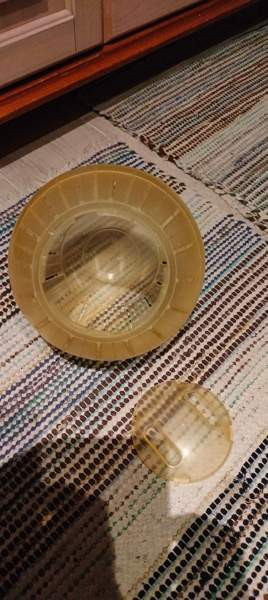 Juoksu pallo jyrsijälle Лохья - изображение 2