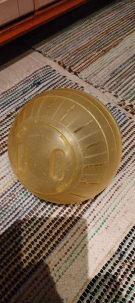 Juoksu pallo jyrsijälle Лохья - изображение 1