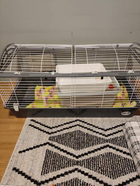 Kanin häkki Oulu – foto 1