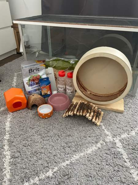 Terraario Mäntyharju - изображение 3