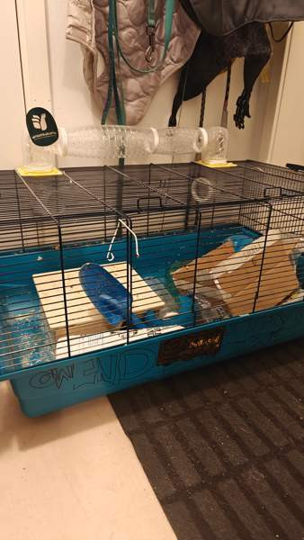 Hamsteri häkki 80 x 50 Sauvo - valokuva 2