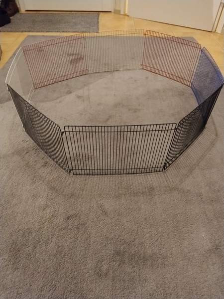 Aitaus Lempaeaelae - photo 2