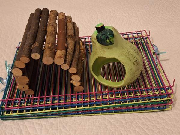 VARATTU Terraario + tarvikkeet Lahti – foto 4