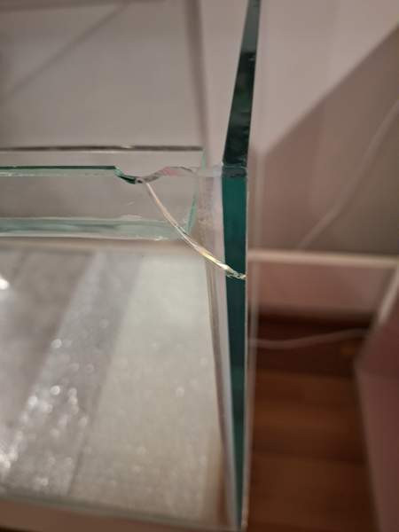 VARATTU Terraario + tarvikkeet Lahti – foto 2