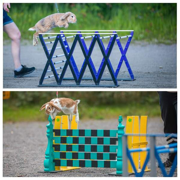 Estekaneja Vöyri - photo 6