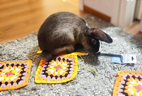 Mix-tyttö Kerava - photo 3