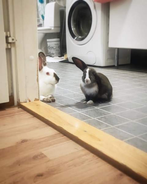 Mix-tyttö Kerava - photo 6