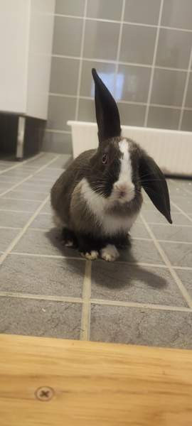 Mix-tyttö Kerava - photo 4