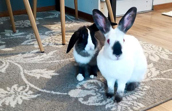 Mix-tyttö Kerava - photo 5