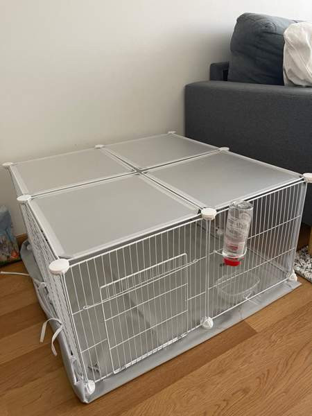 Myydään kani ja tarvikkeet Лахти - изображение 6