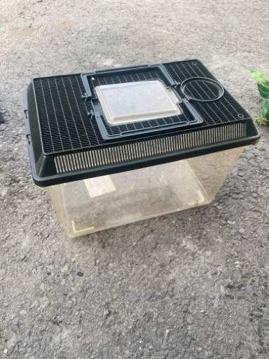 Kuljetusboksi Сейняйоки - изображение 1