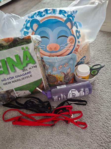 Myydään häkkipaketti marsuille Helsinki - изображение 4