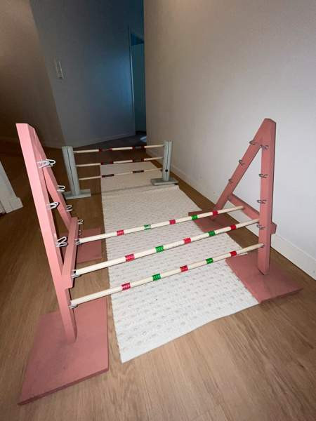 Kanin esteet Helsinki – foto 1