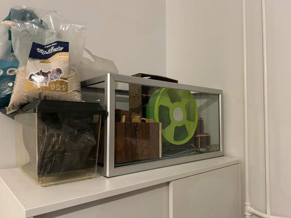 Hamsterin tarvikkeet Helsinki - photo 1