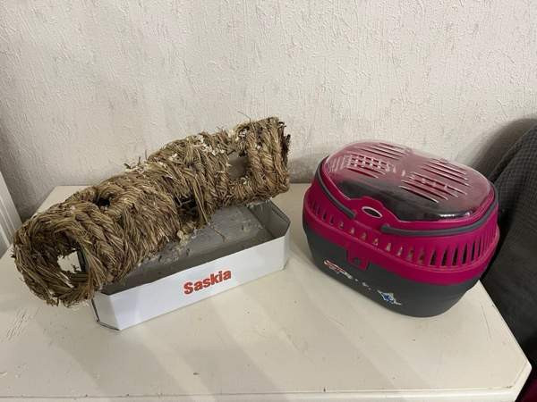 Hamsterille setti Туусула - изображение 3