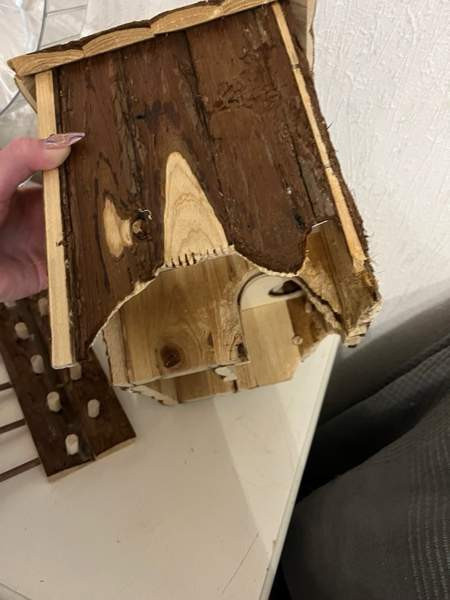 Hamsterille setti Туусула - изображение 4