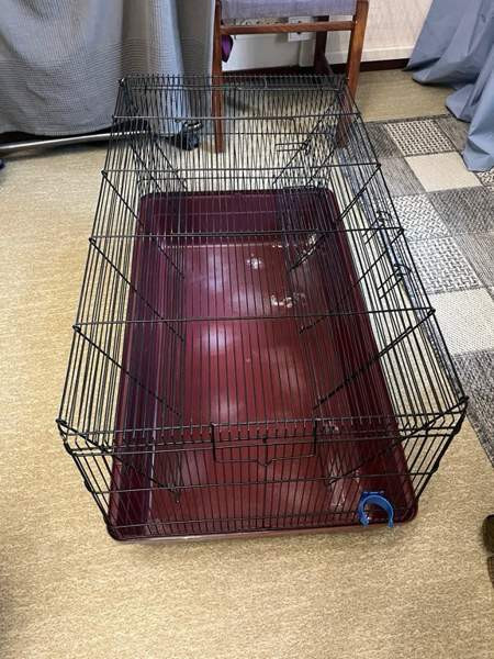 Hamsterille setti Туусула - изображение 1