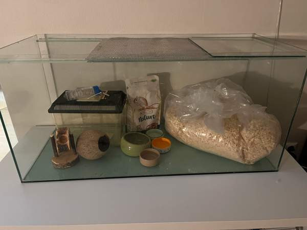 Terraario ja tarvikkeet Helsinki – foto 1