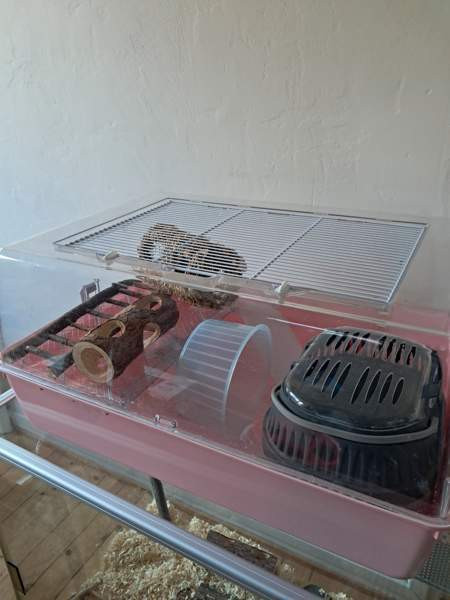 Häkki Нокиа - изображение 1